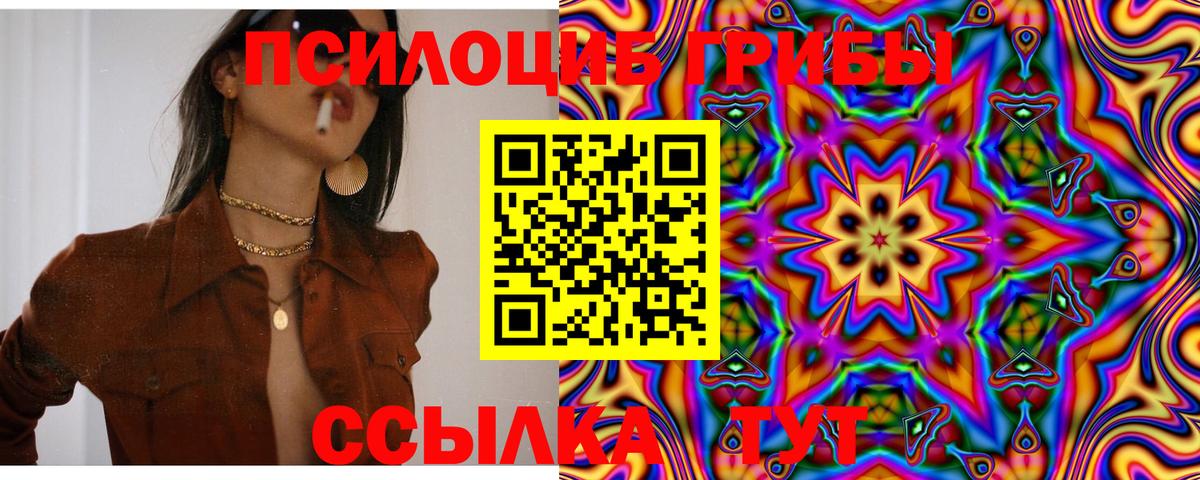 Галлюциногенные грибы Psilocybine cubensis  Вход с VPN  где продают наркотики  Электросталь 